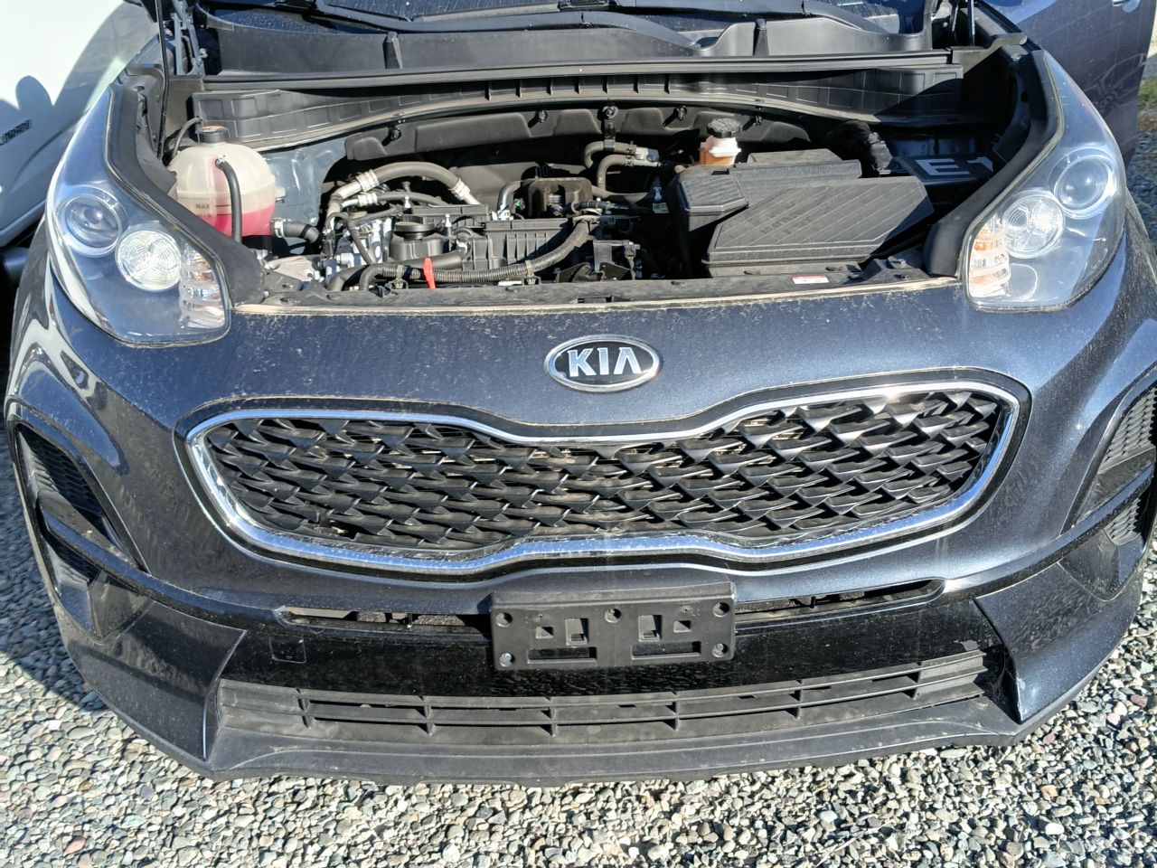 KIA Sportage 2021, foto 8 de 8