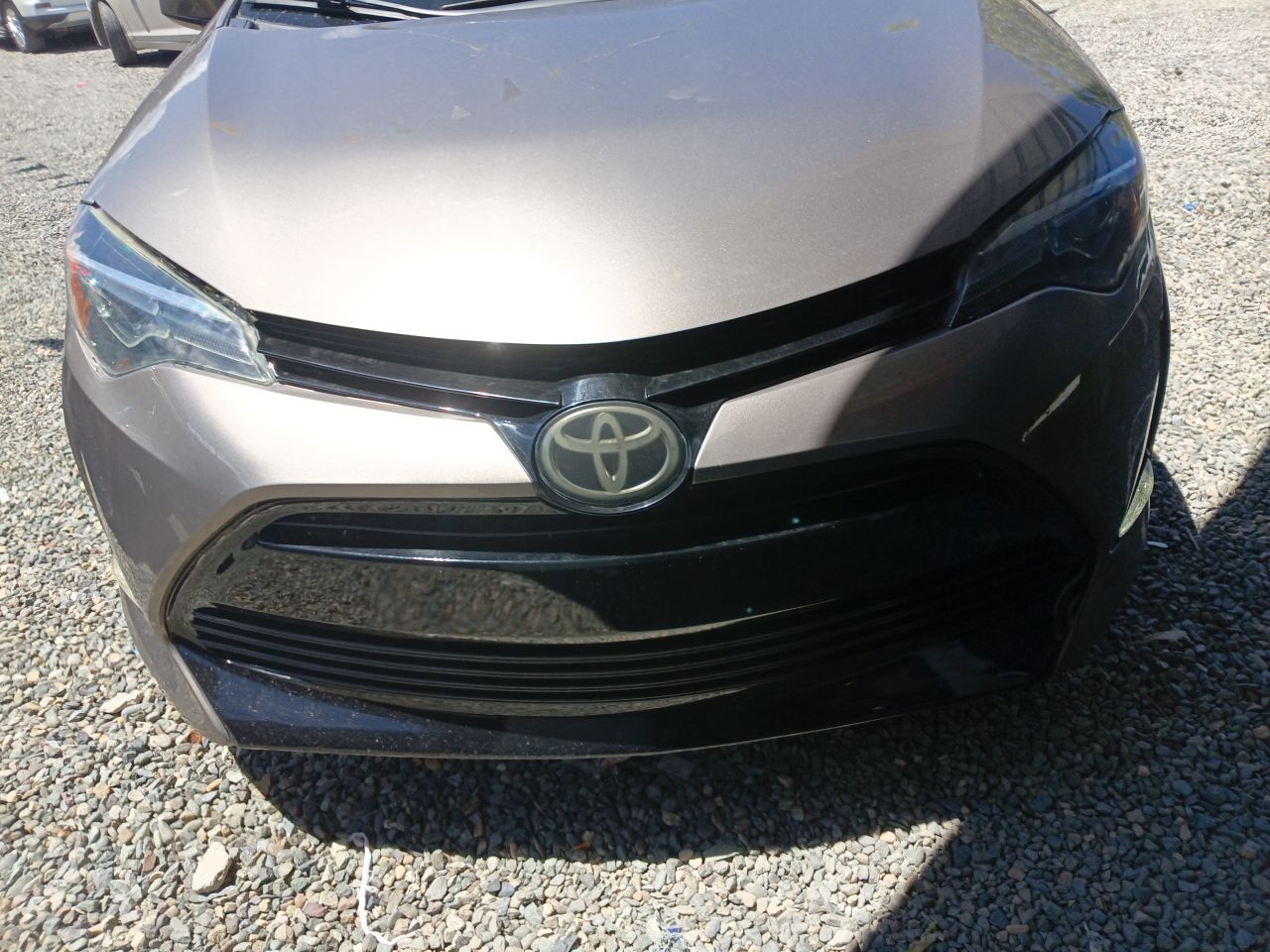 Toyota Corolla 2019, foto 4 de 7