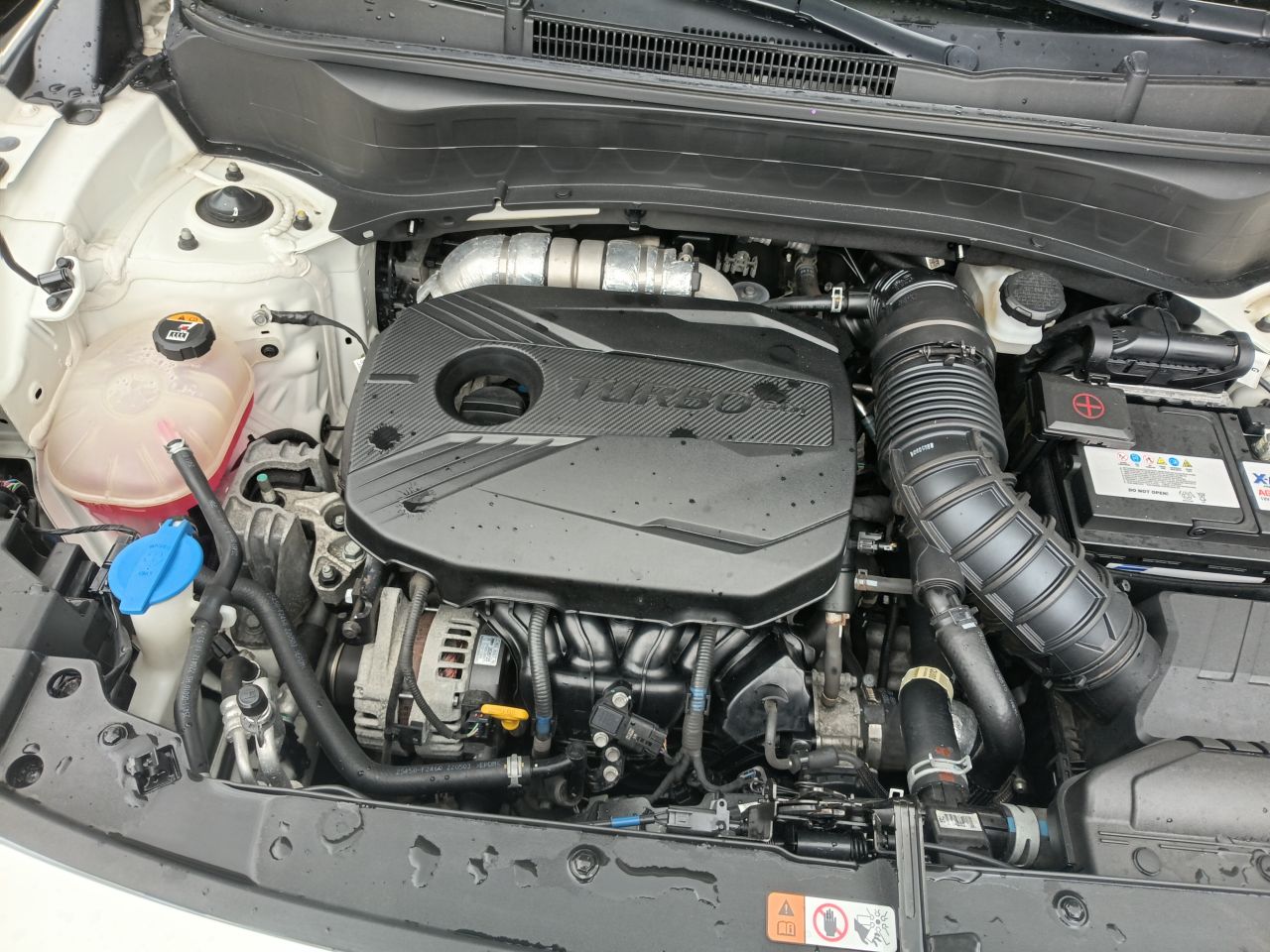 KIA Seltos 2023, foto 8 de 9